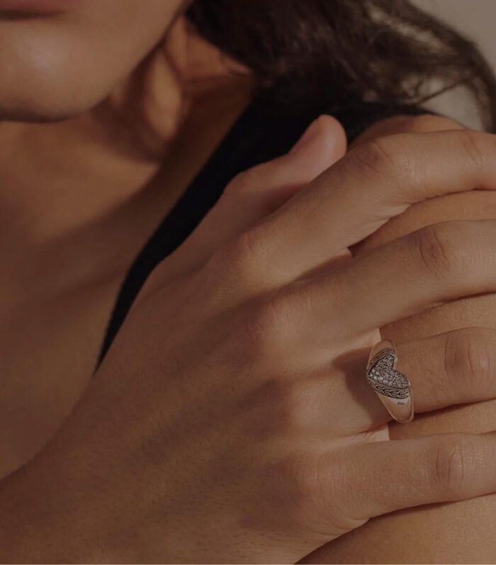 Louis Vuitton Shoulder Bag – Luxury Icon